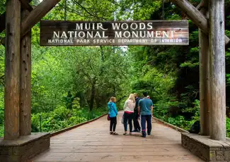 Da San Francisco: Tour mattutino di Muir Woods e Sausalito, San Francisco, Stati Uniti, San Francisco Tickets. Da San Francisco: Tour mattutino di Muir Woods e Sausalito, San Francisco, Stati Uniti, San Francisco Tickets.
