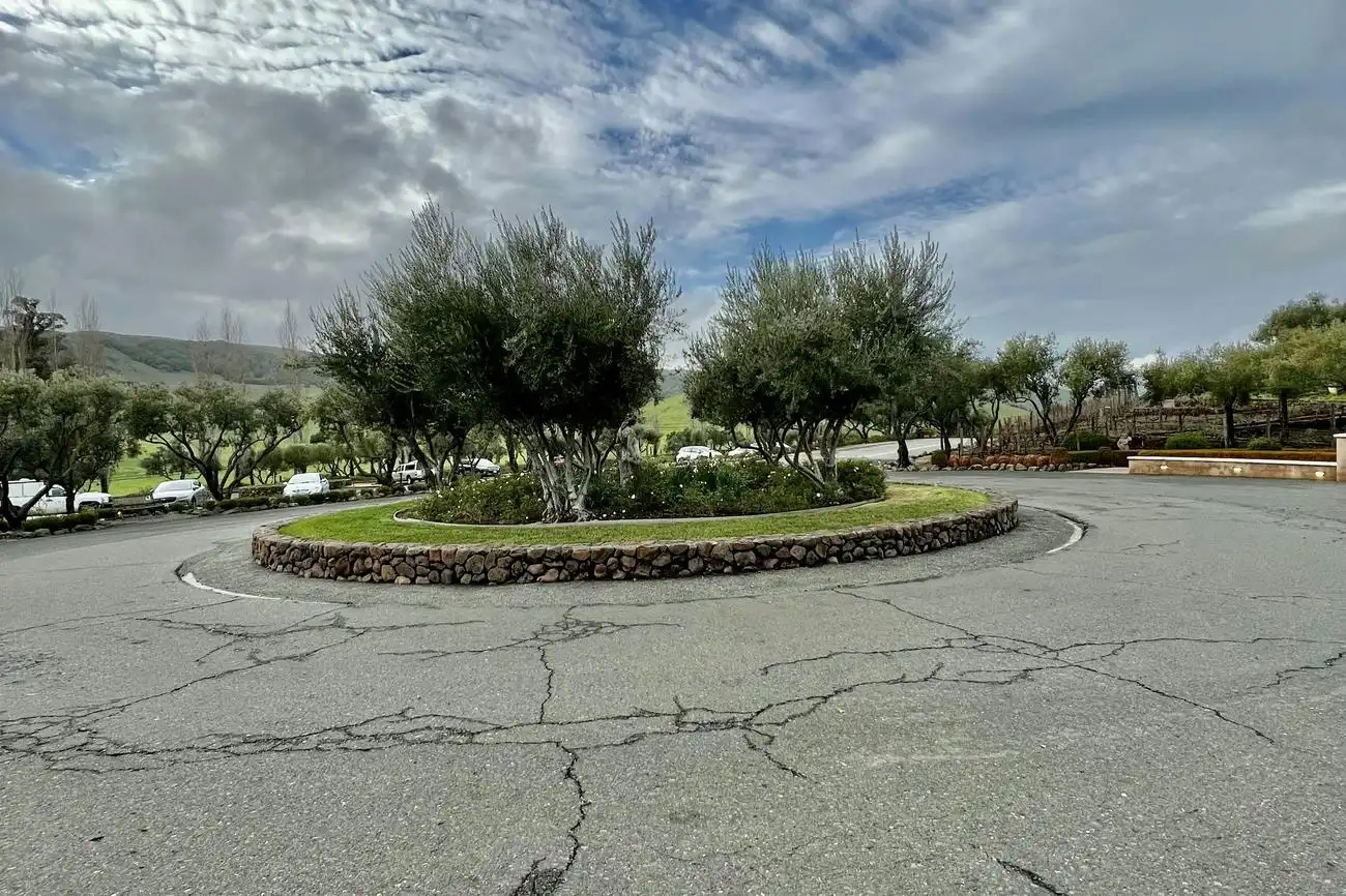 Da San Francisco: Tour di mezza giornata nella Wine Country, San Francisco, Stati Uniti, San Francisco Tickets. Da San Francisco: Tour di mezza giornata nella Wine Country, San Francisco, Stati Uniti, San Francisco Tickets.