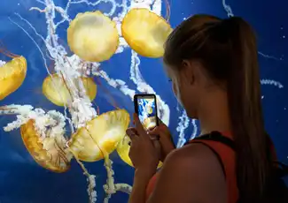 San Francisco CityPASS®: Ingresso a 4 attrazioni principali, San Francisco, Stati Uniti, San Francisco Tickets.