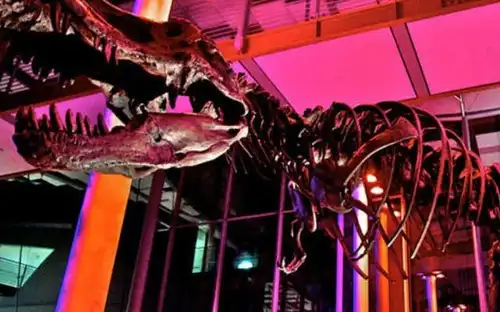 California Academy of Sciences: Nightlife Ticket, San Francisco, United States, San Francisco Tickets. California Academy of Sciences: Nightlife Ticket, San Francisco, United States, San Francisco Tickets.