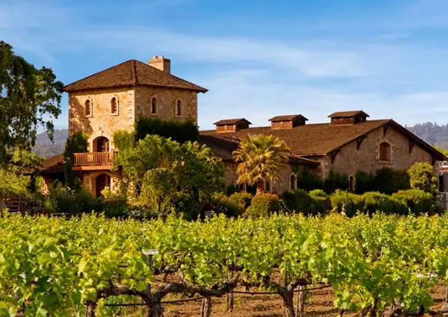 Da San Francisco: Gita di un giorno alla Riserva della Napa Valley con degustazione di vini, San Francisco, Stati Uniti, San Francisco Tickets. Da San Francisco: Gita di un giorno alla Riserva della Napa Valley con degustazione di vini, San Francisco, Stati Uniti, San Francisco Tickets.