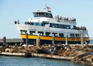 San Francisco: Crociera Fuga dalla Roccia, San Francisco, Stati Uniti, San Francisco Tickets. San Francisco: Crociera Fuga dalla Roccia, San Francisco, Stati Uniti, San Francisco Tickets.