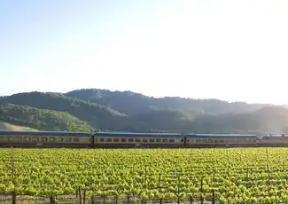 Napa Valley: Treno del vino, San Francisco, Stati Uniti, San Francisco Tickets. Napa Valley: Treno del vino, San Francisco, Stati Uniti, San Francisco Tickets.