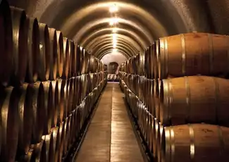 Da San Francisco: Tour di mezza giornata con degustazione di vini della Napa Valley, San Francisco, Stati Uniti, San Francisco Tickets. Da San Francisco: Tour di mezza giornata con degustazione di vini della Napa Valley, San Francisco, Stati Uniti, San Francisco Tickets.