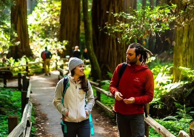 Da San Francisco: Tour di un'intera giornata nella Wine Country e nel Muir Woods, San Francisco, Stati Uniti, San Francisco Tickets. Da San Francisco: Tour di un'intera giornata nella Wine Country e nel Muir Woods, San Francisco, Stati Uniti, San Francisco Tickets.