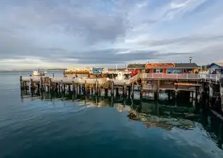 Steinbeck's Cannery Row Monterey: Audio tour autoguidato, San Francisco, Stati Uniti, San Francisco Tickets.