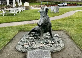 Da San Francisco: Tour di mezza giornata nella Wine Country, San Francisco, Stati Uniti, San Francisco Tickets. Da San Francisco: Tour di mezza giornata nella Wine Country, San Francisco, Stati Uniti, San Francisco Tickets.