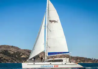 Tour in Catamarano nella Baia di San Francisco, San Francisco, Stati Uniti, San Francisco Tickets. Tour in Catamarano nella Baia di San Francisco, San Francisco, Stati Uniti, San Francisco Tickets.