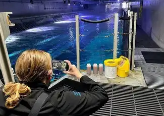 San Francisco: Esperienza VIP all'Aquarium of the Bay, San Francisco, Stati Uniti, San Francisco Tickets. San Francisco: Esperienza VIP all'Aquarium of the Bay, San Francisco, Stati Uniti, San Francisco Tickets.