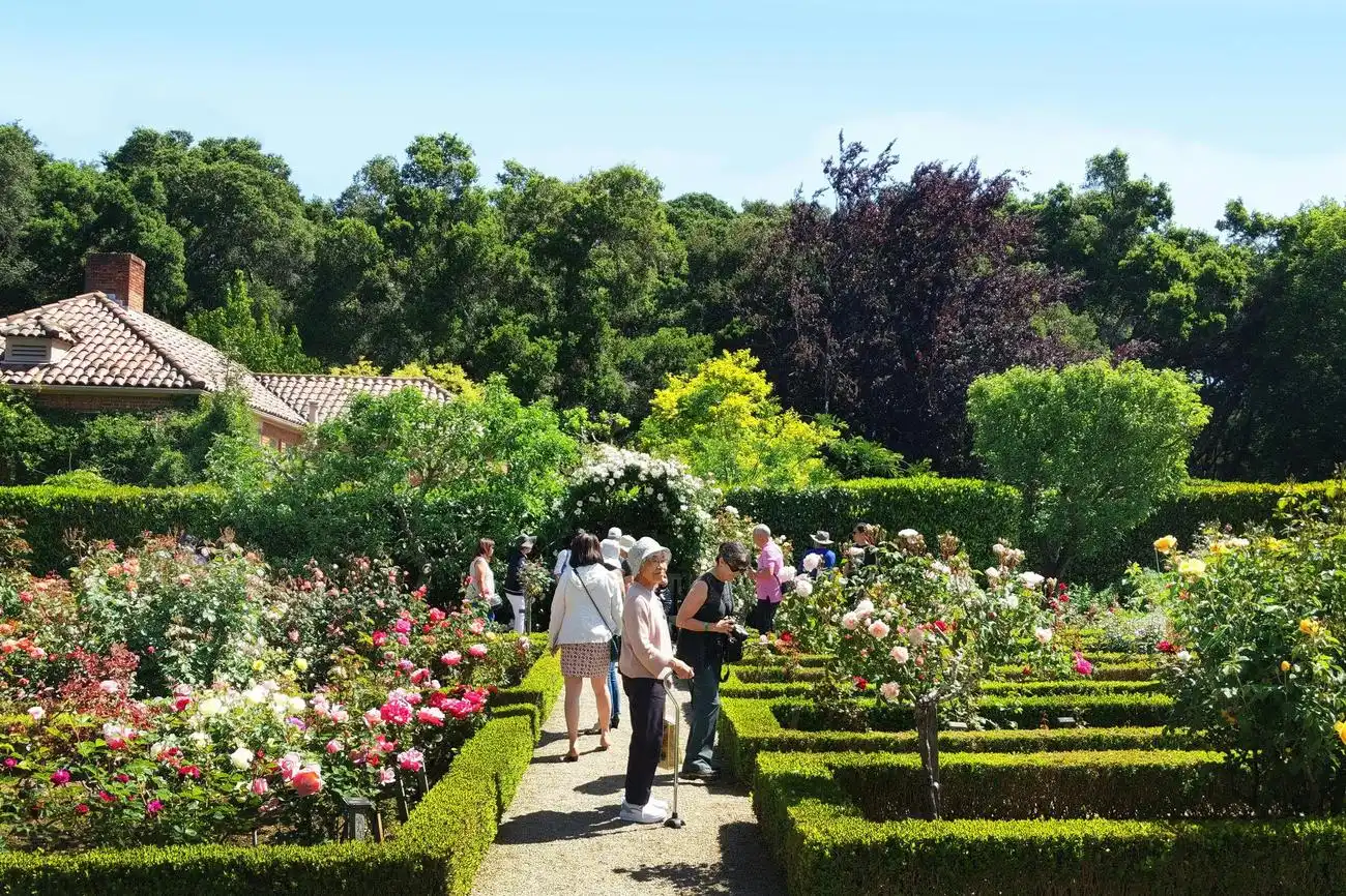 Casa storica e giardino Filoli: Biglietto d'ingresso, Woodside, Stati Uniti, San Francisco Tickets. Casa storica e giardino Filoli: Biglietto d'ingresso, Woodside, Stati Uniti, San Francisco Tickets.