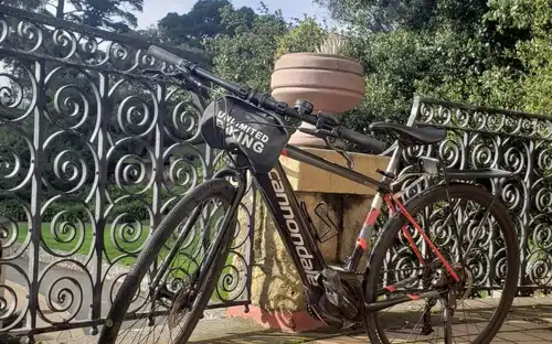 San Francisco: Noleggio di biciclette elettriche nel Golden Gate Park, San Francisco, Stati Uniti, San Francisco Tickets.