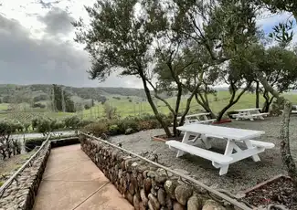 Da San Francisco: Tour di mezza giornata nella Wine Country, San Francisco, Stati Uniti, San Francisco Tickets. Da San Francisco: Tour di mezza giornata nella Wine Country, San Francisco, Stati Uniti, San Francisco Tickets.