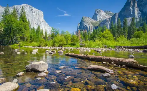 Da San Francisco: Esperienza di un giorno intero nello Yosemite con ingresso e tour guidato, San Francisco, Stati Uniti, San Francisco Tickets. Da San Francisco: Esperienza di un giorno intero nello Yosemite con ingresso e tour guidato, San Francisco, Stati Uniti, San Francisco Tickets.