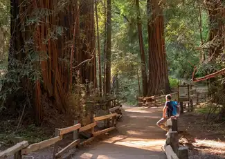 Da San Francisco: Gita di un giorno a Redwoods & Wine Country, San Francisco, Stati Uniti, San Francisco Tickets. Da San Francisco: Gita di un giorno a Redwoods & Wine Country, San Francisco, Stati Uniti, San Francisco Tickets.