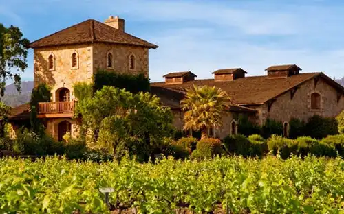 Da San Francisco: Gita di un giorno alla Riserva della Napa Valley con degustazione di vini, San Francisco, Stati Uniti, San Francisco Tickets. Da San Francisco: Gita di un giorno alla Riserva della Napa Valley con degustazione di vini, San Francisco, Stati Uniti, San Francisco Tickets.