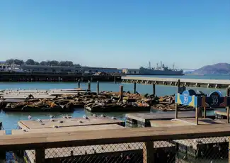 San Francisco: Tour a piedi del Fisherman's Wharf, San Francisco, Stati Uniti, San Francisco Tickets. San Francisco: Tour a piedi del Fisherman's Wharf, San Francisco, Stati Uniti, San Francisco Tickets.