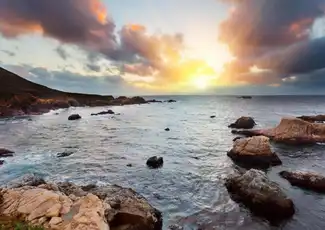 Da San Francisco: Gita di un giorno a Monterey e Carmel by the Sea, San Francisco, Stati Uniti, San Francisco Tickets. Da San Francisco: Gita di un giorno a Monterey e Carmel by the Sea, San Francisco, Stati Uniti, San Francisco Tickets.