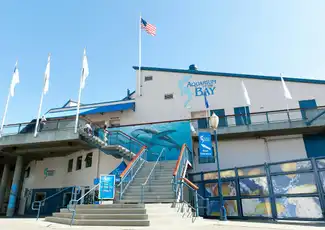 Aquarium of the Bay: Biglietto d'ingresso, San Francisco, Stati Uniti, San Francisco Tickets. Aquarium of the Bay: Biglietto d'ingresso, San Francisco, Stati Uniti, San Francisco Tickets.