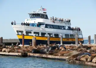 San Francisco: Tour di Alcatraz + Crociera di un'ora nella baia, San Francisco, Stati Uniti, San Francisco Tickets. San Francisco: Tour di Alcatraz + Crociera di un'ora nella baia, San Francisco, Stati Uniti, San Francisco Tickets.
