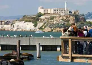 San Francisco - Tour della Città in Autobus + Tour in Barca nella Baia, San Francisco, Stati Uniti, San Francisco Tickets. San Francisco - Tour della Città in Autobus + Tour in Barca nella Baia, San Francisco, Stati Uniti, San Francisco Tickets.