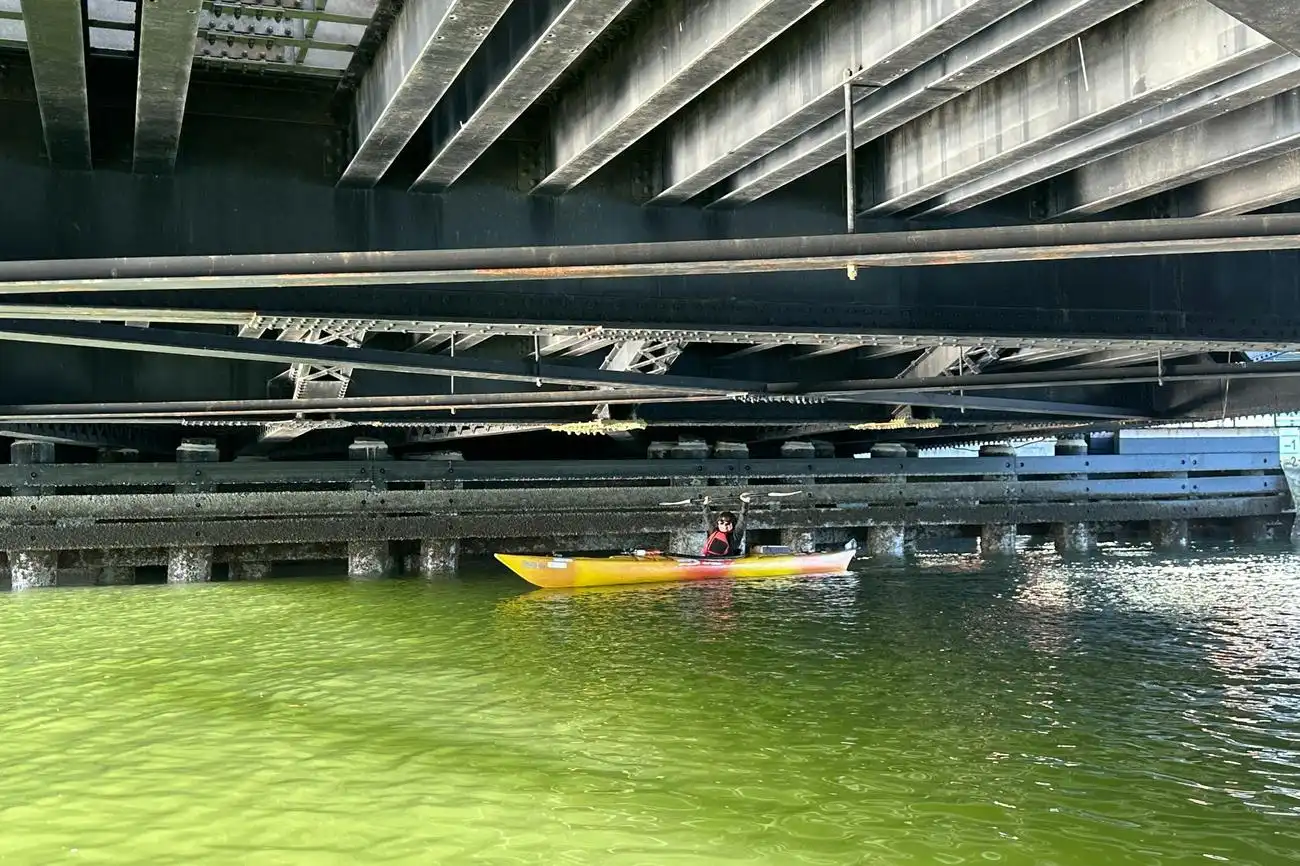 Baia di San Francisco: Noleggio di 1 ora di kayak o stand-up paddleboard, San Francisco, Stati Uniti, San Francisco Tickets. Baia di San Francisco: Noleggio di 1 ora di kayak o stand-up paddleboard, San Francisco, Stati Uniti, San Francisco Tickets.