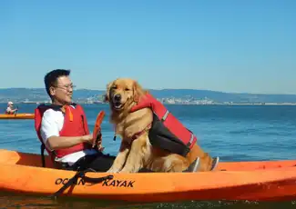 Baia di San Francisco: Noleggio di 1 ora di kayak o stand-up paddleboard, San Francisco, Stati Uniti, San Francisco Tickets. Baia di San Francisco: Noleggio di 1 ora di kayak o stand-up paddleboard, San Francisco, Stati Uniti, San Francisco Tickets.