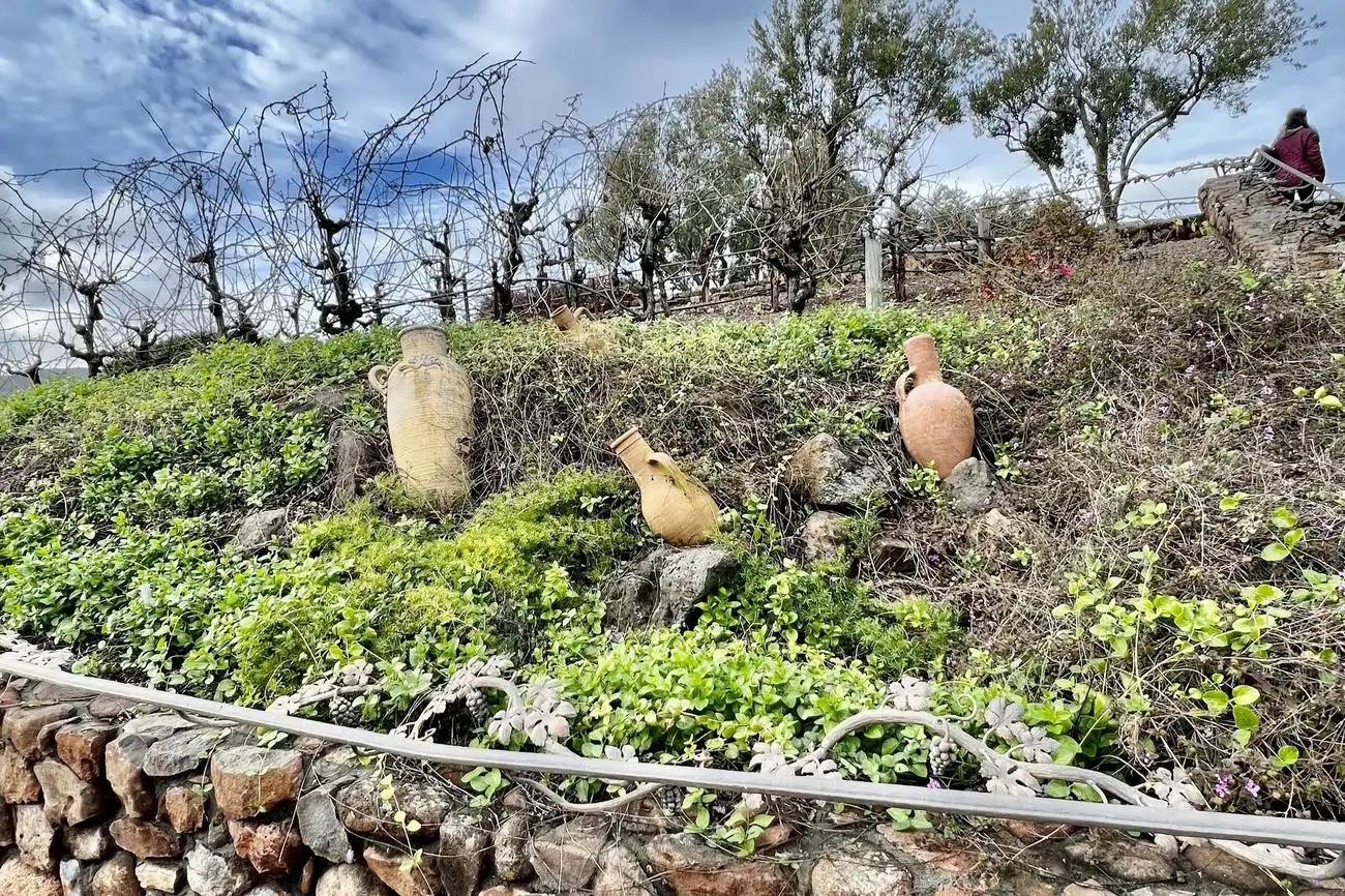 Da San Francisco: Tour di mezza giornata nella Wine Country, San Francisco, Stati Uniti, San Francisco Tickets. Da San Francisco: Tour di mezza giornata nella Wine Country, San Francisco, Stati Uniti, San Francisco Tickets.