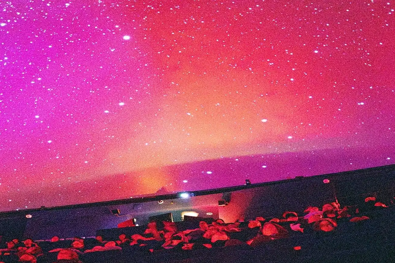 California Academy of Sciences: Biglietto d'ingresso, San Francisco, Stati Uniti, San Francisco Tickets.