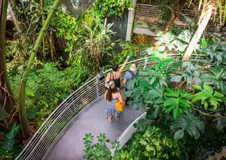 California Academy of Sciences: Biglietto d'ingresso, San Francisco, Stati Uniti, San Francisco Tickets.