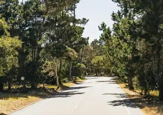 Da San Francisco: Gita di un giorno a Monterey e Carmel by the Sea, San Francisco, Stati Uniti, San Francisco Tickets. Da San Francisco: Gita di un giorno a Monterey e Carmel by the Sea, San Francisco, Stati Uniti, San Francisco Tickets.