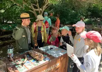 Muir Woods e Sausalito: Tour per piccoli gruppi, Mill Valley, Stati Uniti, San Francisco Tickets. Muir Woods e Sausalito: Tour per piccoli gruppi, Mill Valley, Stati Uniti, San Francisco Tickets.