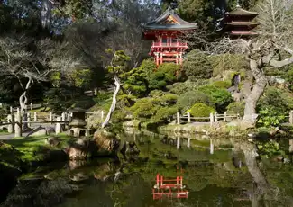San Francisco: Noleggio di biciclette Surrey nel Golden Gate Park, San Francisco, Stati Uniti, San Francisco Tickets. San Francisco: Noleggio di biciclette Surrey nel Golden Gate Park, San Francisco, Stati Uniti, San Francisco Tickets.