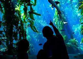 Steinbeck's Cannery Row Monterey: Audio tour autoguidato, San Francisco, Stati Uniti, San Francisco Tickets.