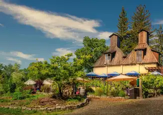 Wine Country e Armstrong Woods: Tour guidato da San Francisco + degustazione, Napa, Stati Uniti, San Francisco Tickets. Wine Country e Armstrong Woods: Tour guidato da San Francisco + degustazione, Napa, Stati Uniti, San Francisco Tickets.