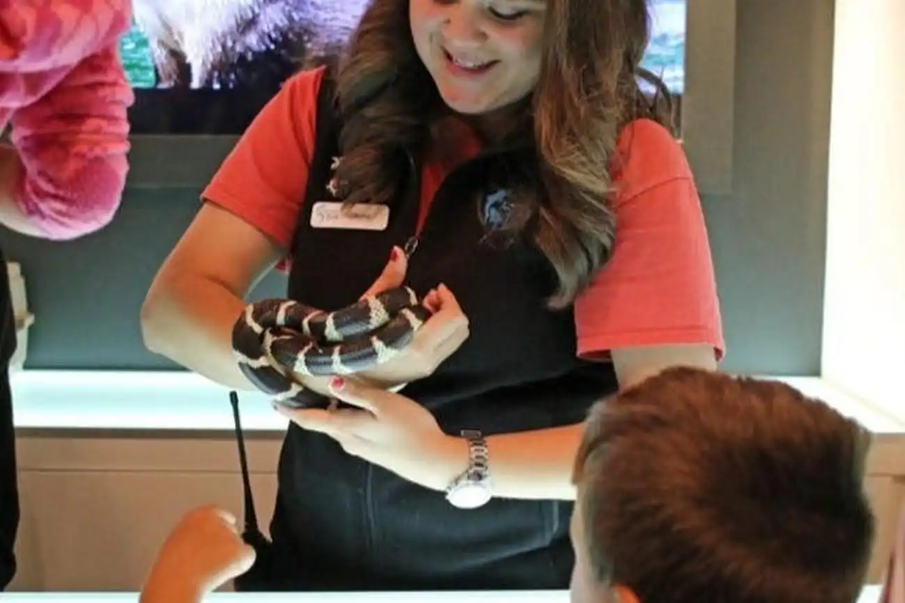 San Francisco: Esperienza VIP all'Aquarium of the Bay, San Francisco, Stati Uniti, San Francisco Tickets. San Francisco: Esperienza VIP all'Aquarium of the Bay, San Francisco, Stati Uniti, San Francisco Tickets.