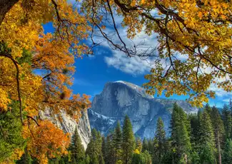 Da San Francisco: Tour di un giorno intero dello Yosemite e delle Sequoie Giganti, San Francisco, Stati Uniti, San Francisco Tickets. Da San Francisco: Tour di un giorno intero dello Yosemite e delle Sequoie Giganti, San Francisco, Stati Uniti, San Francisco Tickets.