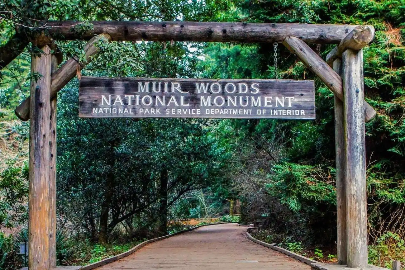 Da San Francisco: Tour di mezza giornata di Muir Woods, San Francisco, Stati Uniti, San Francisco Tickets. Da San Francisco: Tour di mezza giornata di Muir Woods, San Francisco, Stati Uniti, San Francisco Tickets.