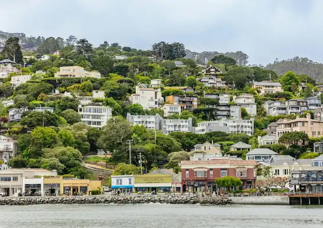 Da San Francisco: Tour di mezza giornata di Muir Woods, tour di Sausalito e crociera nella baia, San Francisco, Stati Uniti, San Francisco Tickets. Da San Francisco: Tour di mezza giornata di Muir Woods, tour di Sausalito e crociera nella baia, San Francisco, Stati Uniti, San Francisco Tickets.