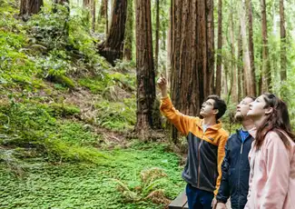 Da San Francisco: Gita di un giorno a Muir Woods e Sausalito, San Francisco, Stati Uniti, San Francisco Tickets. Da San Francisco: Gita di un giorno a Muir Woods e Sausalito, San Francisco, Stati Uniti, San Francisco Tickets.