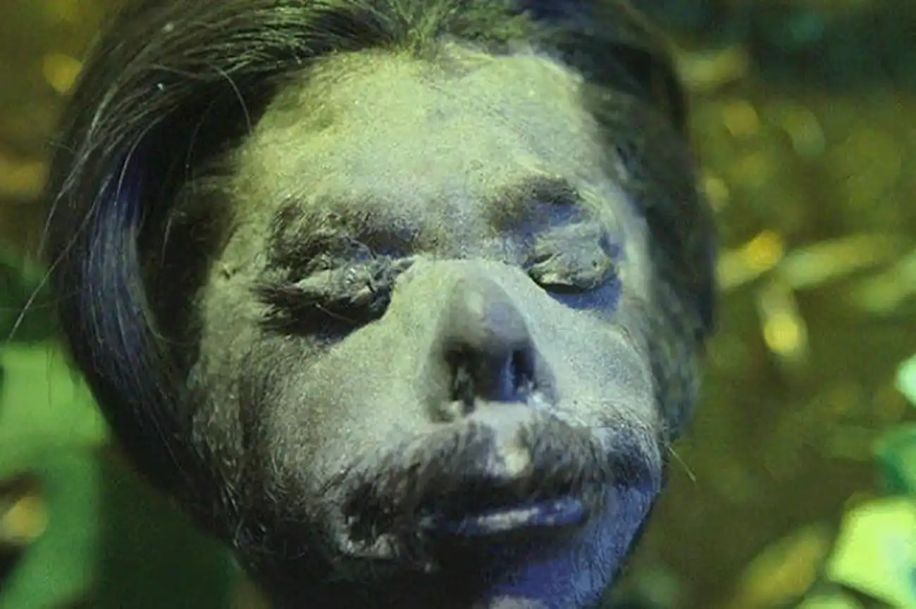 San Francisco: Ripley's Believe It or Not! + Labirinto di specchi, San Francisco, Stati Uniti, San Francisco Tickets.