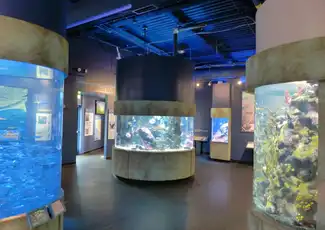Aquarium of the Bay: Biglietto d'ingresso, San Francisco, Stati Uniti, San Francisco Tickets. Aquarium of the Bay: Biglietto d'ingresso, San Francisco, Stati Uniti, San Francisco Tickets.
