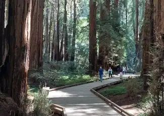 Alcatraz: Tour audio notturno + visita guidata di Muir Woods e Sausalito, San Francisco, Stati Uniti, San Francisco Tickets.