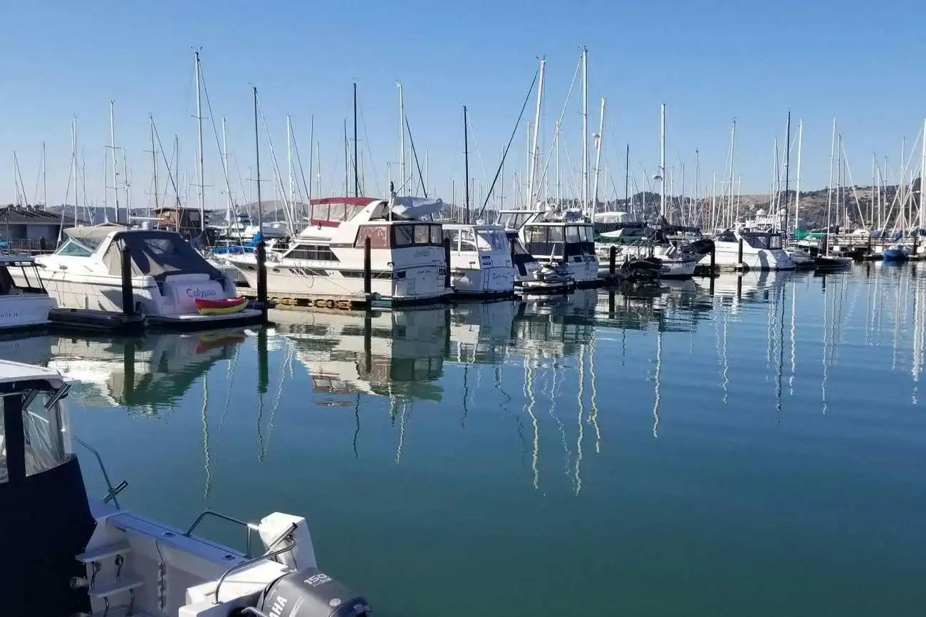 Muir Woods e Sausalito: Tour di mezza giornata da San Francisco, San Francisco, Stati Uniti, San Francisco Tickets. Muir Woods e Sausalito: Tour di mezza giornata da San Francisco, San Francisco, Stati Uniti, San Francisco Tickets.